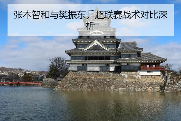 张本智和与樊振东乒超联赛战术对比深析